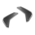 DBK Special Parts (Ducabike) Carbon Fiber Front Upper Side Panels for BMW R 1300 GS DBK Special Parts (Ducabike) Carbon Fiber Front Upper Side Panels for BMW R 1300 GS